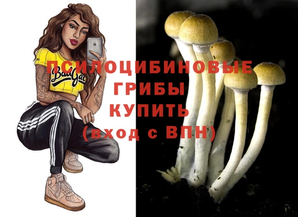 МДМА Кукмор